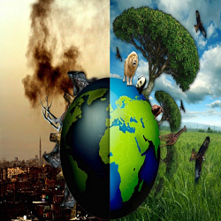 Environmental Science and Climate Change