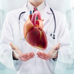 Cardiology and Cardiac Surgery