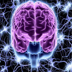 Stress & Depression Management